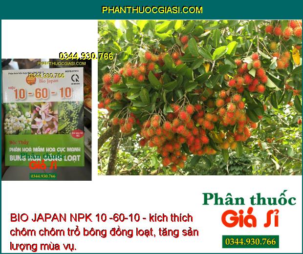 BIO JAPAN NPK 10 -60-10 - Ra Hoa Đồng Loạt - Tăng Đậu Trái