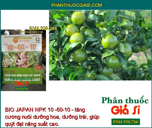 BIO JAPAN NPK 10 -60-10 - Ra Hoa Đồng Loạt - Tăng Đậu Trái