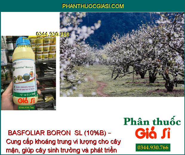 BASFOLIAR BORON  SL (10%B) – Kích Thích Ra Hoa Đồng Loạt - Tăng Đậu Trái - Hạn Chế Rụng Trái Non