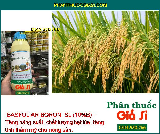 BASFOLIAR BORON  SL (10%B) – Kích Thích Ra Hoa Đồng Loạt - Tăng Đậu Trái - Hạn Chế Rụng Trái Non