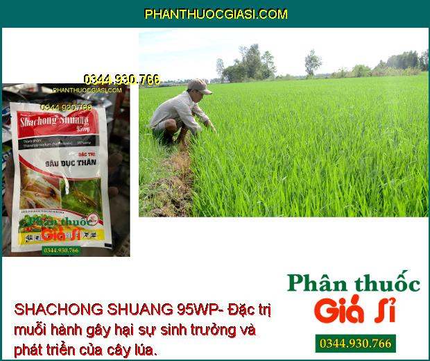 SHACHONG SHUANG 95WP- Đặc Trị Sâu Đục Thân - Các Loại Sâu Bệnh Gây Hại