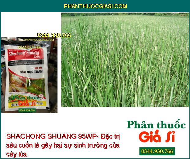 SHACHONG SHUANG 95WP- Đặc Trị Sâu Đục Thân - Các Loại Sâu Bệnh Gây Hại