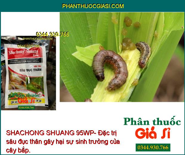 SHACHONG SHUANG 95WP- Đặc Trị Sâu Đục Thân - Các Loại Sâu Bệnh Gây Hại