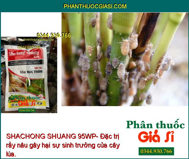 SHACHONG SHUANG 95WP- Đặc Trị Sâu Đục Thân - Các Loại Sâu Bệnh Gây Hại