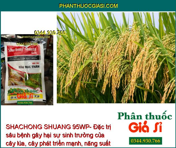 SHACHONG SHUANG 95WP- Đặc Trị Sâu Đục Thân - Các Loại Sâu Bệnh Gây Hại