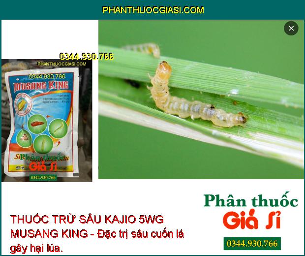 THUỐC TRỪ SÂU KAJIO 5WG MUSANG KING - Đặc trị sâu cuốn lá gây hại lúa.