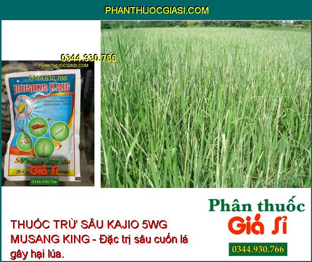 THUỐC TRỪ SÂU KAJIO 5WG MUSANG KING - Đặc trị sâu cuốn lá gây hại lúa.