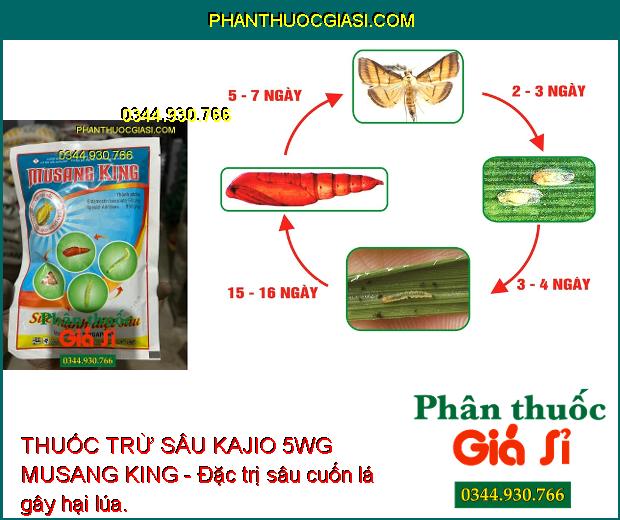 THUỐC TRỪ SÂU KAJIO 5WG MUSANG KING - Đặc trị sâu cuốn lá gây hại lúa.