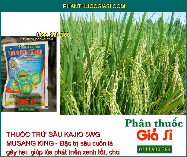 THUỐC TRỪ SÂU KAJIO 5WG MUSANG KING - Đặc trị sâu cuốn lá gây hại lúa.