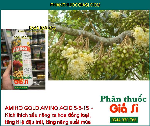 AMINO GOLD AMINO ACID 5-5-15 – Kích Ra Hoa Đồng Loạt - Chống Đổ Ngã - Nuôi Trái To Khỏe.