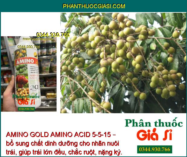 AMINO GOLD AMINO ACID 5-5-15 – Kích Ra Hoa Đồng Loạt - Chống Đổ Ngã - Nuôi Trái To Khỏe.