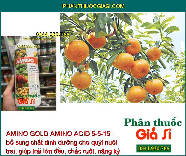 AMINO GOLD AMINO ACID 5-5-15 – Kích Ra Hoa Đồng Loạt - Chống Đổ Ngã - Nuôi Trái To Khỏe.