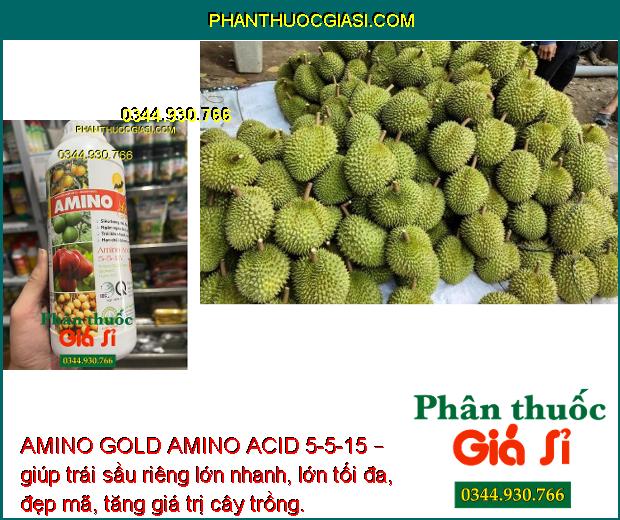 AMINO GOLD AMINO ACID 5-5-15 – Kích Ra Hoa Đồng Loạt - Chống Đổ Ngã - Nuôi Trái To Khỏe.