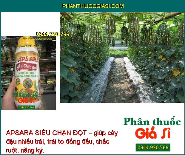 APSARA SIÊU CHẶN ĐỌT – Ức Chế Đọt Non Kéo Dài Quá Trình Ngâm Đọt