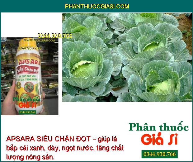 APSARA SIÊU CHẶN ĐỌT – Ức Chế Đọt Non Kéo Dài Quá Trình Ngâm Đọt