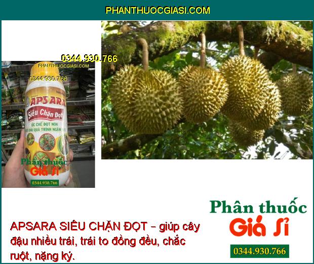 APSARA SIÊU CHẶN ĐỌT – Ức Chế Đọt Non Kéo Dài Quá Trình Ngâm Đọt