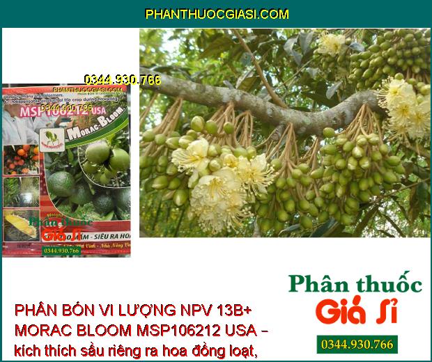 PHÂN BÓN VI LƯỢNG NPV 13B+ MORAC BLOOM MSP106212 USA – SIÊU TẠO MẦM HOA – SIÊU RA HOA