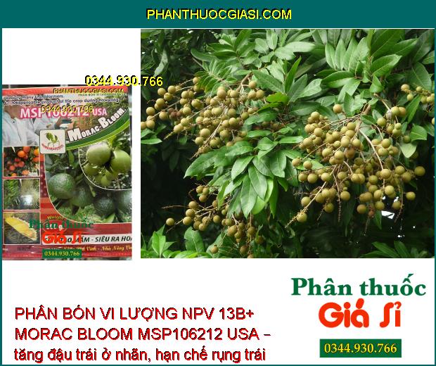 PHÂN BÓN VI LƯỢNG NPV 13B+ MORAC BLOOM MSP106212 USA – SIÊU TẠO MẦM HOA – SIÊU RA HOA