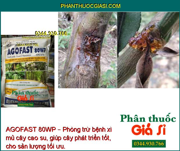 AGOFAST 80WP – Phòng Trừ Bệnh Chết Nhanh - Sương Mai - Mốc Sương - Xì Mủ