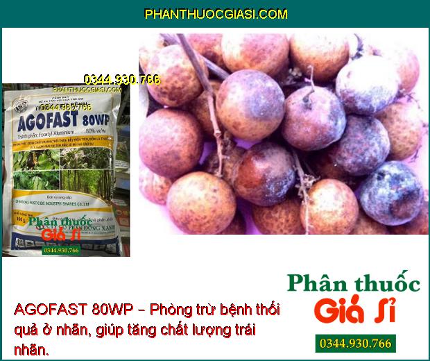 AGOFAST 80WP – Phòng Trừ Bệnh Chết Nhanh - Sương Mai - Mốc Sương - Xì Mủ