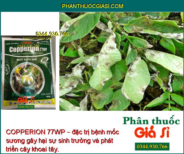 COPPERION 77WP – THUỐC ĐẶC TRỊ BỆNH MỐC SƯƠNG TRÊN CÂY TRỒNG