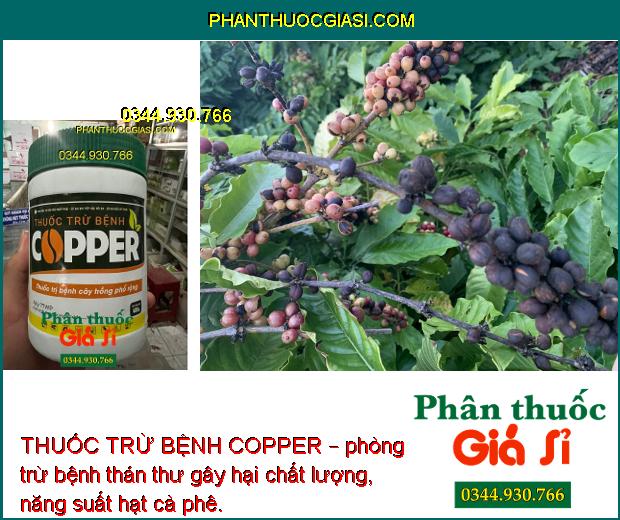 THUỐC TRỪ BỆNH COPPER – ĐẶC TRỊ BỆNH CÂY TRỒNG PHỔ RỘNG