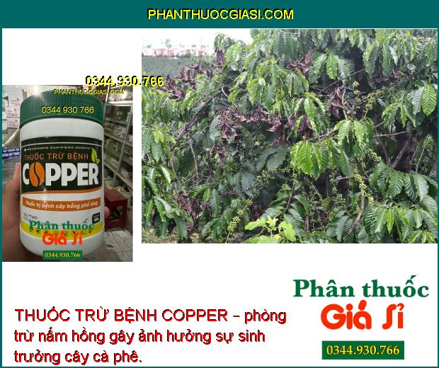 THUỐC TRỪ BỆNH COPPER – ĐẶC TRỊ BỆNH CÂY TRỒNG PHỔ RỘNG