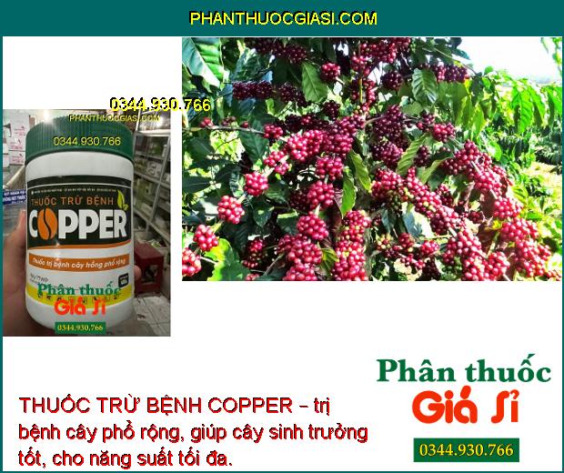 THUỐC TRỪ BỆNH COPPER – ĐẶC TRỊ BỆNH CÂY TRỒNG PHỔ RỘNG