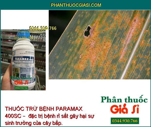 THUỐC TRỪ BỆNH PARAMAX 400SC – SÁNG XANH LÁ ĐÒNG - VÀNG BÔNG CHẮC HẠT