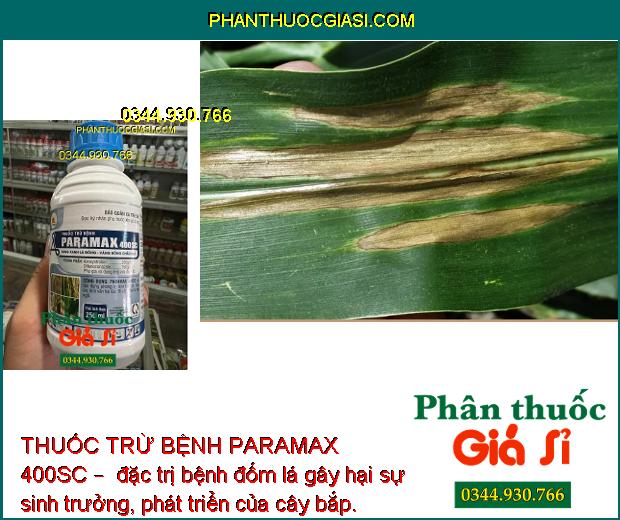 THUỐC TRỪ BỆNH PARAMAX 400SC – SÁNG XANH LÁ ĐÒNG - VÀNG BÔNG CHẮC HẠT