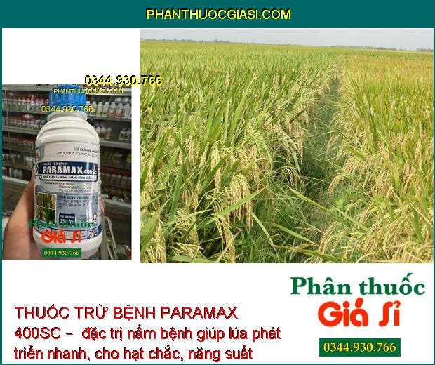 THUỐC TRỪ BỆNH PARAMAX 400SC – SÁNG XANH LÁ ĐÒNG - VÀNG BÔNG CHẮC HẠT