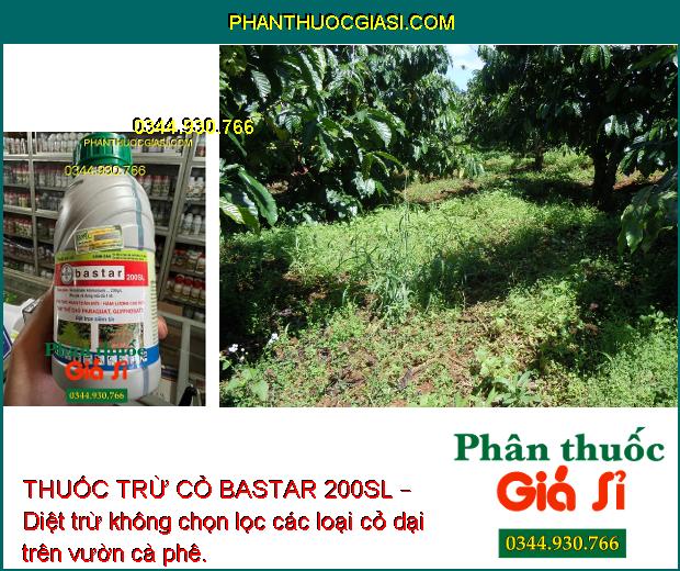 THUỐC TRỪ CỎ BASTAR 200SL – Diệt Trừ Các Loại Cỏ Dại