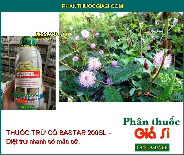 THUỐC TRỪ CỎ BASTAR 200SL – Diệt Trừ Các Loại Cỏ Dại