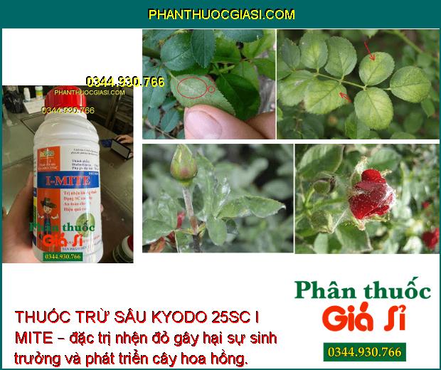 THUỐC TRỪ SÂU KYODO 25SC I MITE – ĐẶC TRỊ CÁC LOẠI SÂU - NHỆN KHÁNG THUỐC