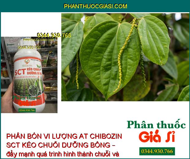 PHÂN BÓN VI LƯỢNG AT CHIBOZIN SCT KÉO CHUỖI DƯỠNG BÔNG – Kéo Dài Chuỗi Tiêu - Chuỗi Trái Mập