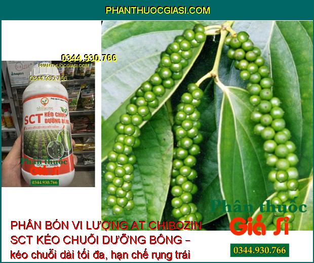 PHÂN BÓN VI LƯỢNG AT CHIBOZIN SCT KÉO CHUỖI DƯỠNG BÔNG – Kéo Dài Chuỗi Tiêu - Chuỗi Trái Mập