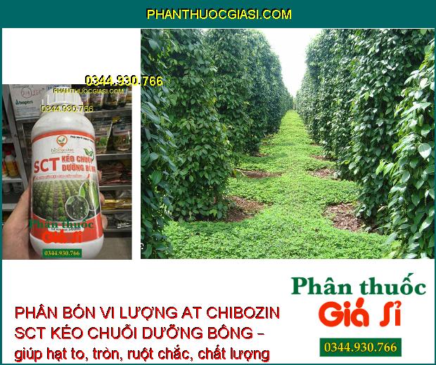 PHÂN BÓN VI LƯỢNG AT CHIBOZIN SCT KÉO CHUỖI DƯỠNG BÔNG – Kéo Dài Chuỗi Tiêu - Chuỗi Trái Mập