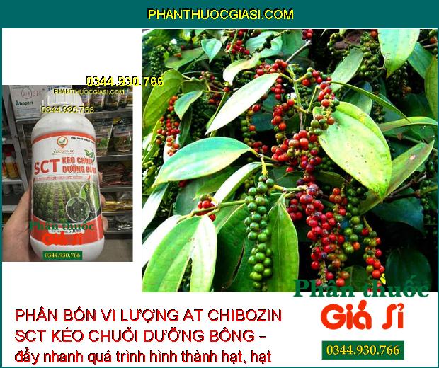 PHÂN BÓN VI LƯỢNG AT CHIBOZIN SCT KÉO CHUỖI DƯỠNG BÔNG – Kéo Dài Chuỗi Tiêu - Chuỗi Trái Mập