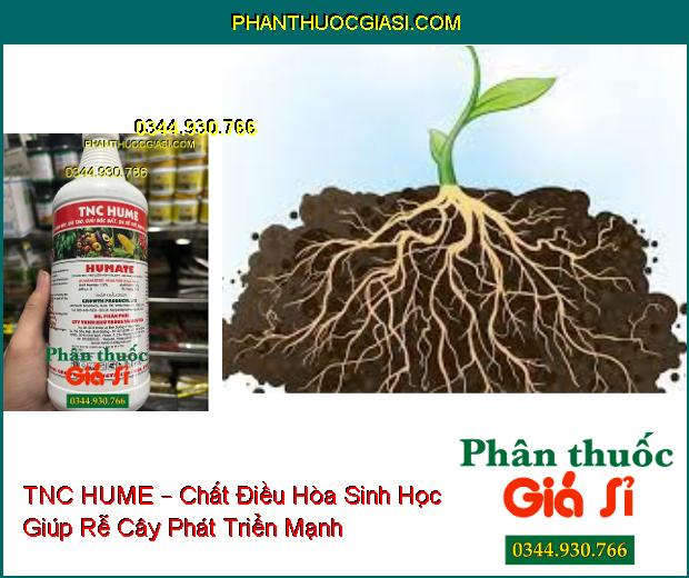 TNC HUME – Chất Điều Hòa Sinh Học Giúp Rễ Cây Phát Triển Mạnh - Dễ Hấp Thu Phân Bón Và Các Chất Dinh Dưỡng Trong Đất