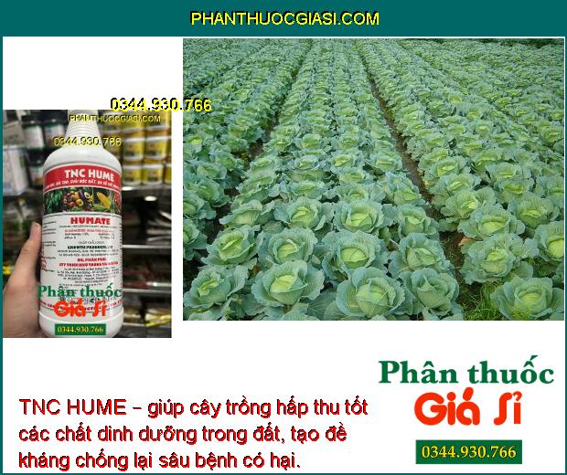 TNC HUME – Chất Điều Hòa Sinh Học Giúp Rễ Cây Phát Triển Mạnh - Dễ Hấp Thu Phân Bón Và Các Chất Dinh Dưỡng Trong Đất