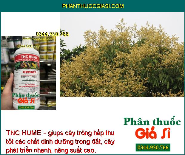 TNC HUME – Chất Điều Hòa Sinh Học Giúp Rễ Cây Phát Triển Mạnh - Dễ Hấp Thu Phân Bón Và Các Chất Dinh Dưỡng Trong Đất