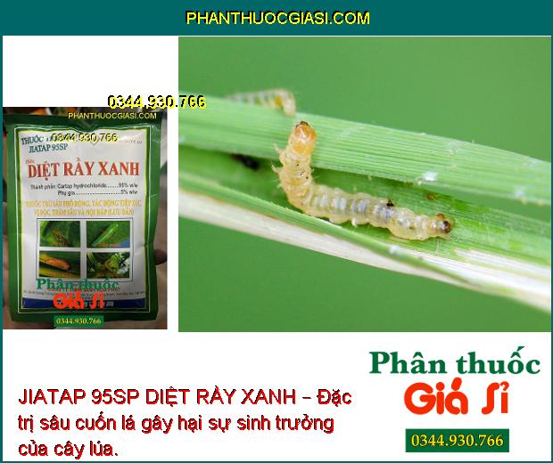 JIATAP 95SP DIỆT RẦY XANH – Đặc trị rầy nâu hại cây trồng.