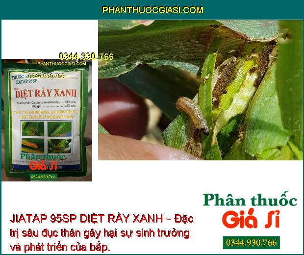 JIATAP 95SP DIỆT RẦY XANH – Đặc trị rầy nâu hại cây trồng.