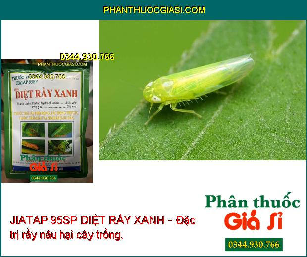 JIATAP 95SP DIỆT RẦY XANH – Đặc trị rầy nâu hại cây trồng.