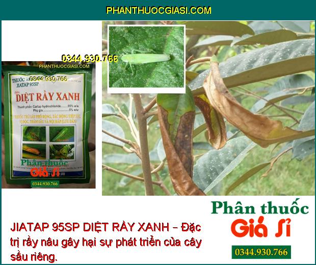 JIATAP 95SP DIỆT RẦY XANH – Đặc trị rầy nâu hại cây trồng.