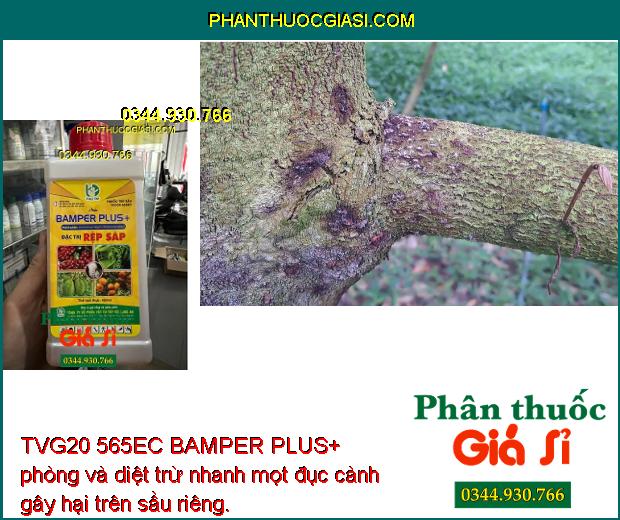 TVG20 565EC BAMPER PLUS+  phòng và diệt trừ các loại sâu và rệp gây hại cây trồng, giúp cây sinh trưởng tốt, năng suất cao.