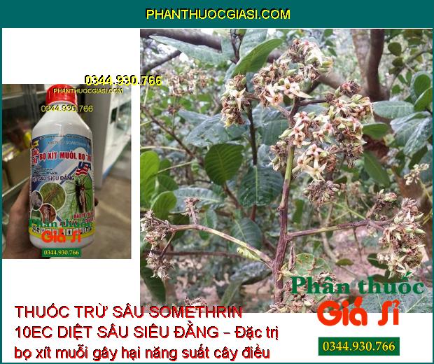 THUỐC TRỪ SÂU SOMETHRIN 10EC DIỆT SÂU SIÊU ĐẲNG – Đặc Trị Bọ Xít Muỗi - Bọ Trĩ