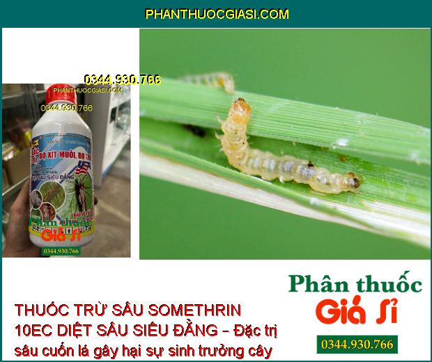 THUỐC TRỪ SÂU SOMETHRIN 10EC DIỆT SÂU SIÊU ĐẲNG – Đặc Trị Bọ Xít Muỗi - Bọ Trĩ