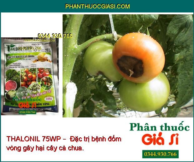 THALONIL 75WP –  ĐẶC TRỊ NẤM BỆNH -BẢO VỆ CÂY TRỒNG