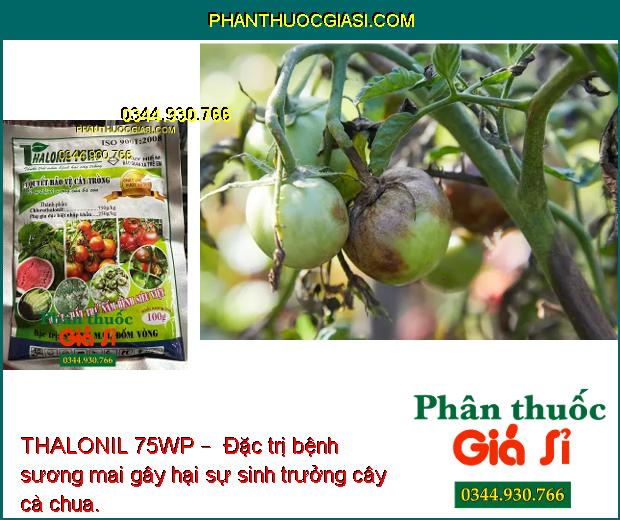 THALONIL 75WP –  ĐẶC TRỊ NẤM BỆNH -BẢO VỆ CÂY TRỒNG